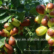 wild jujube blossom honey